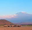Kilimanjaro