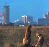 Nairobi National Park